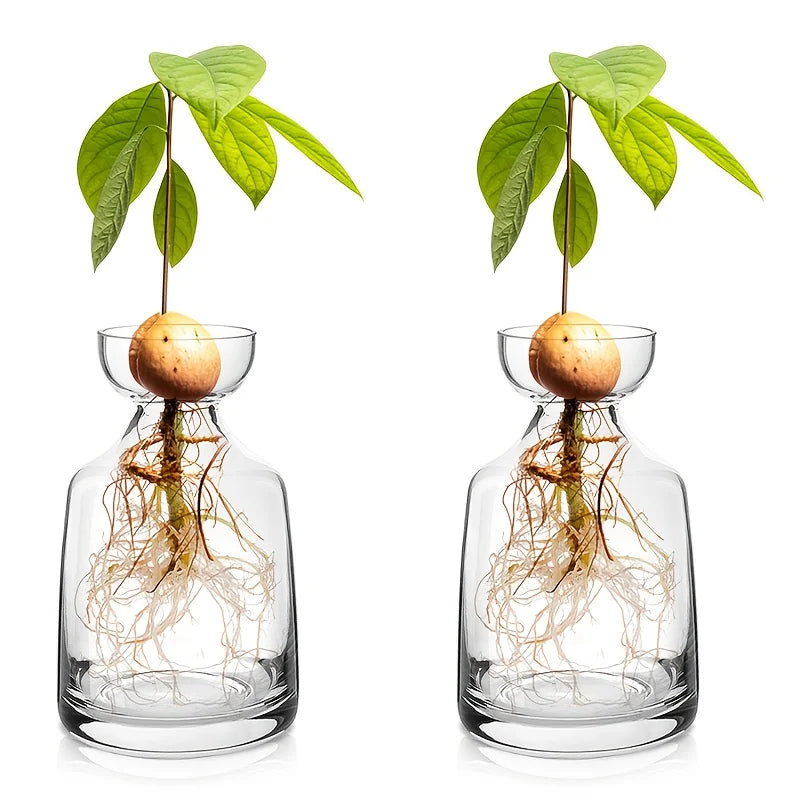 Two-piece Avocado Seed Starter Vase - Grow Your Own Avocado Tree Unique Glass Planting Pot for Gardening Lovers Start Your Green