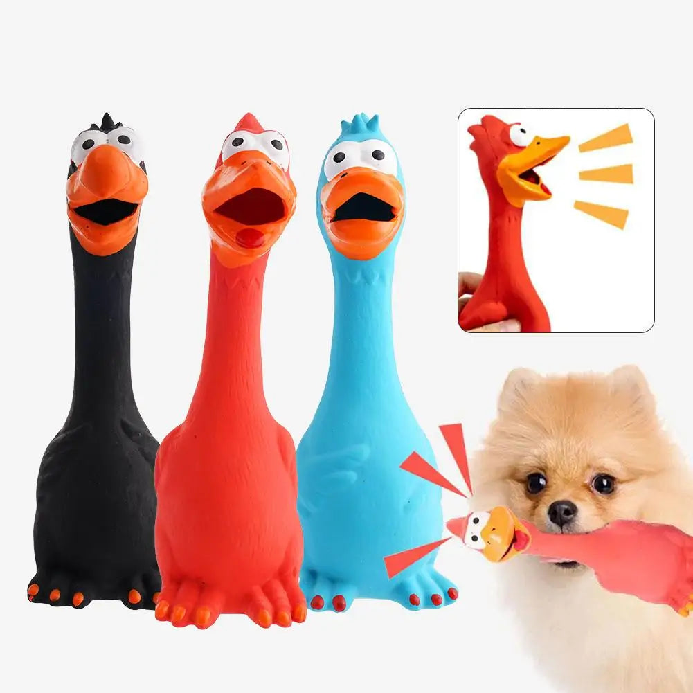 New Squeak Dog Toy Chew Bone Squeaky Ball Chicken Sound Dog Toys Tooth Grinding Training Pet Toy Supplies  Dog Accessories
