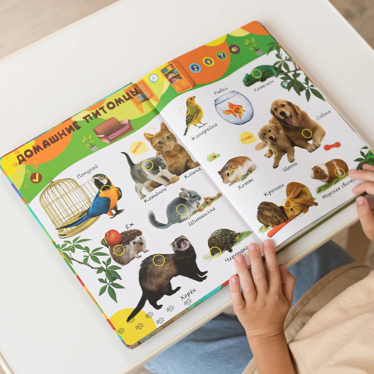 Biidi learning game for kids Montessori learning book for children intelligence educational Russian electronic book picture books
